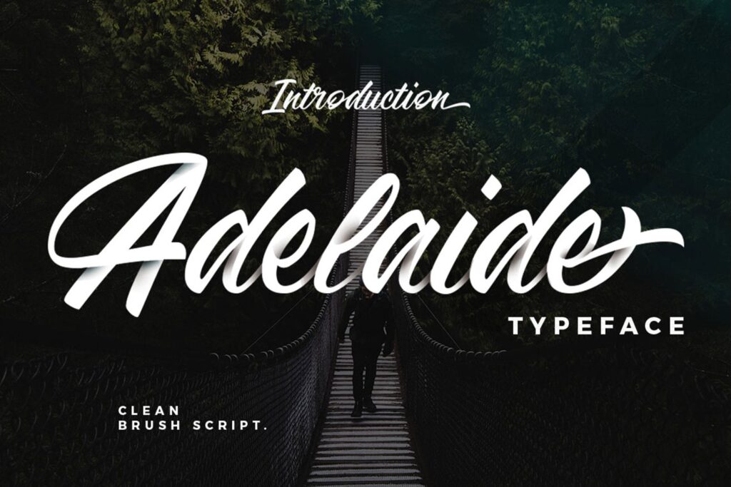 咖啡品牌包装书法风格英文字体下载Adelaide Font